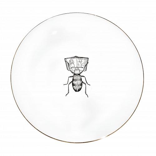 Тарелка 16 cм Fashion Bug
