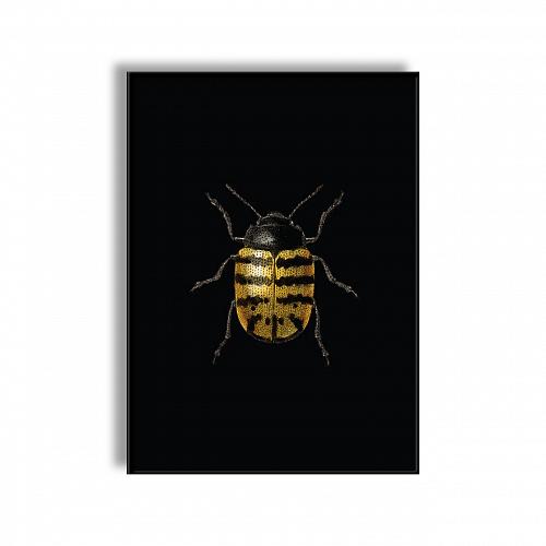 Постер в рамке Golden Beetle